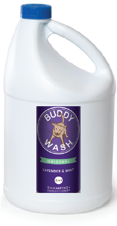 Cloud Star Buddy Wash Pet Shampoo Gallon by Pet Food Warehouse