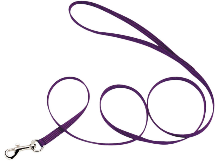 Coastal Cat Lead 3/8" 6' Purple by Pet Food Warehouse