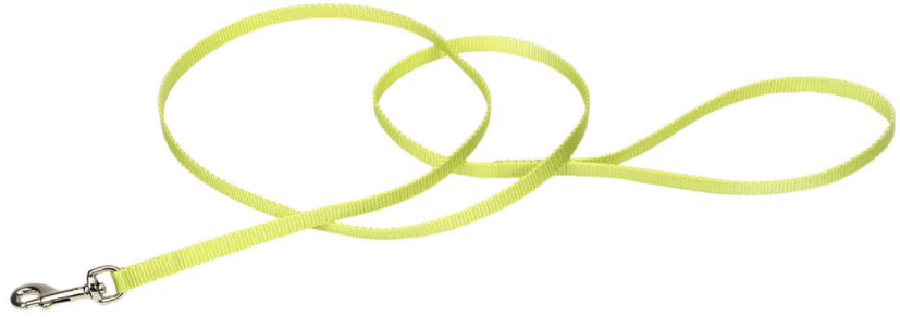 Coastal Cat Lead 3/8" 6' Lime by Pet Food Warehouse