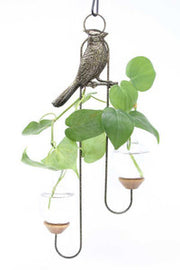 Cardinal Double Hanging Vase Display