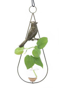 Cardinal Hanging Vase