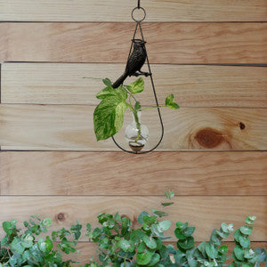 Cardinal Hanging Vase