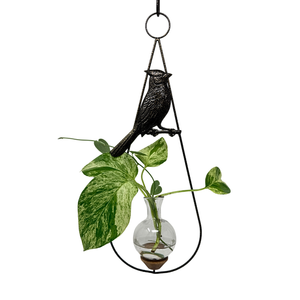 Cardinal Hanging Vase