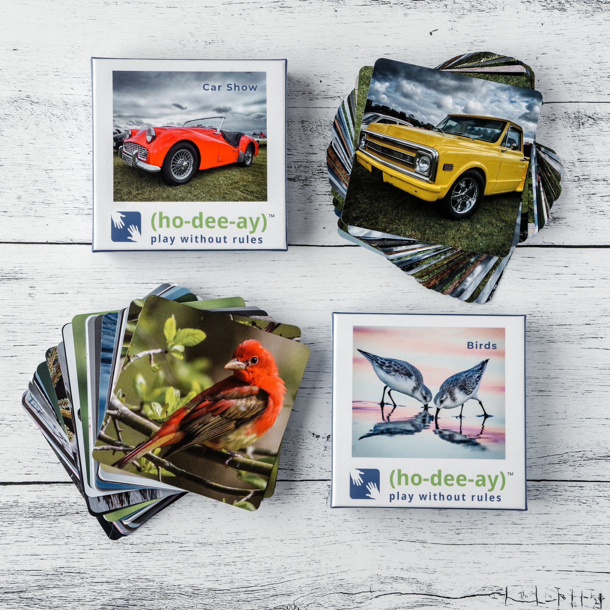 (ho-dee-ay) Bird & Car Show Pair by (ho-dee-ay)