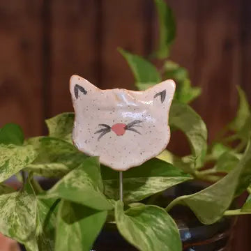 Plant Buddies