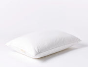 Coyuchi Down Feather Pillow