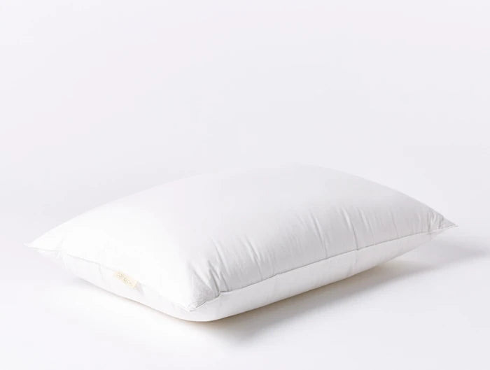 Coyuchi Down Feather Pillow
