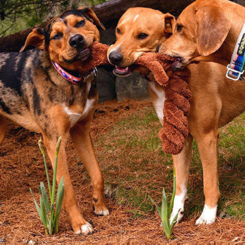 Cycle Dog Duraplush Springy Squirrel