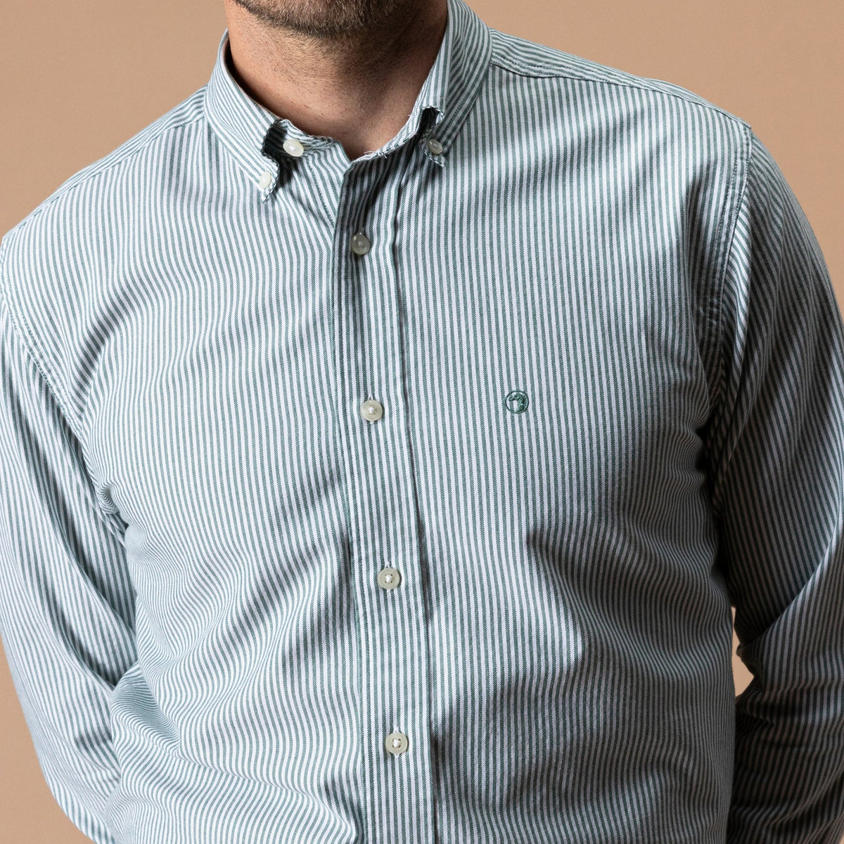 Duck Head Collins Stripe Cotton Oxford Sport Shirt