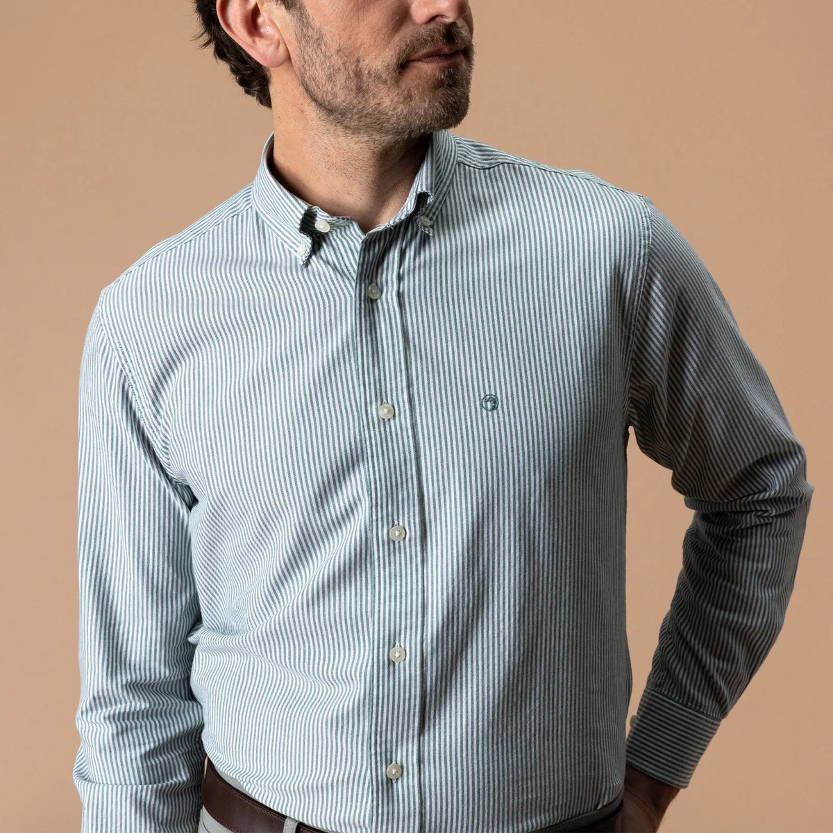 Duck Head Collins Stripe Cotton Oxford Sport Shirt