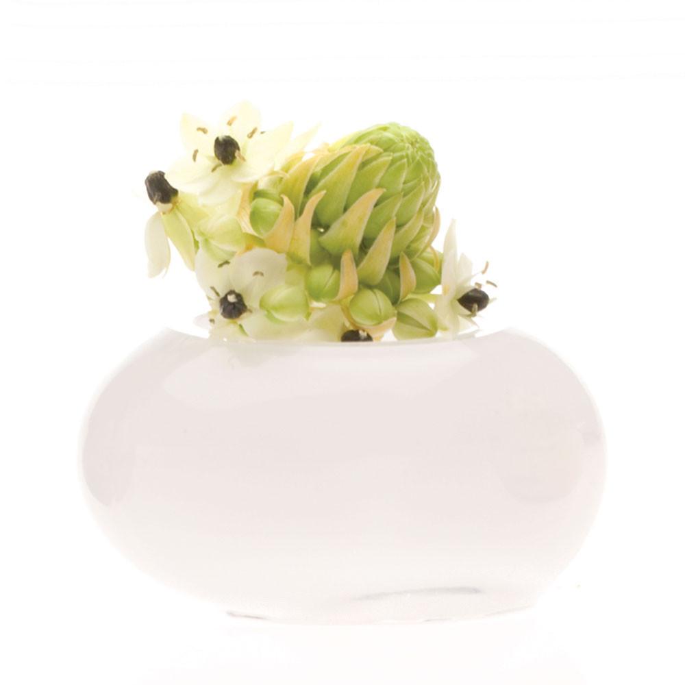 Digout Small Rock Planter - Milk by Homeportonline