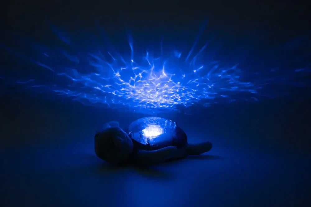 Tranquil Turtle | Aqua