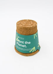 Blue Spruce Tree Kit: Plant the Planet