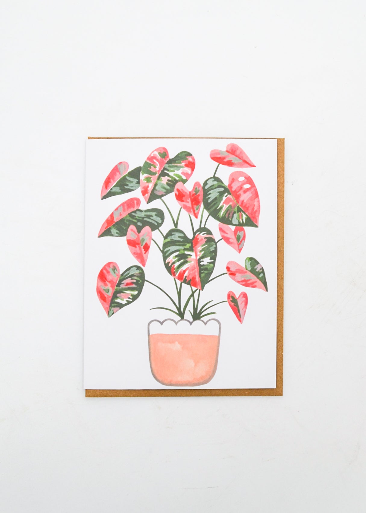 Blank Card - Pink and Green Monstera