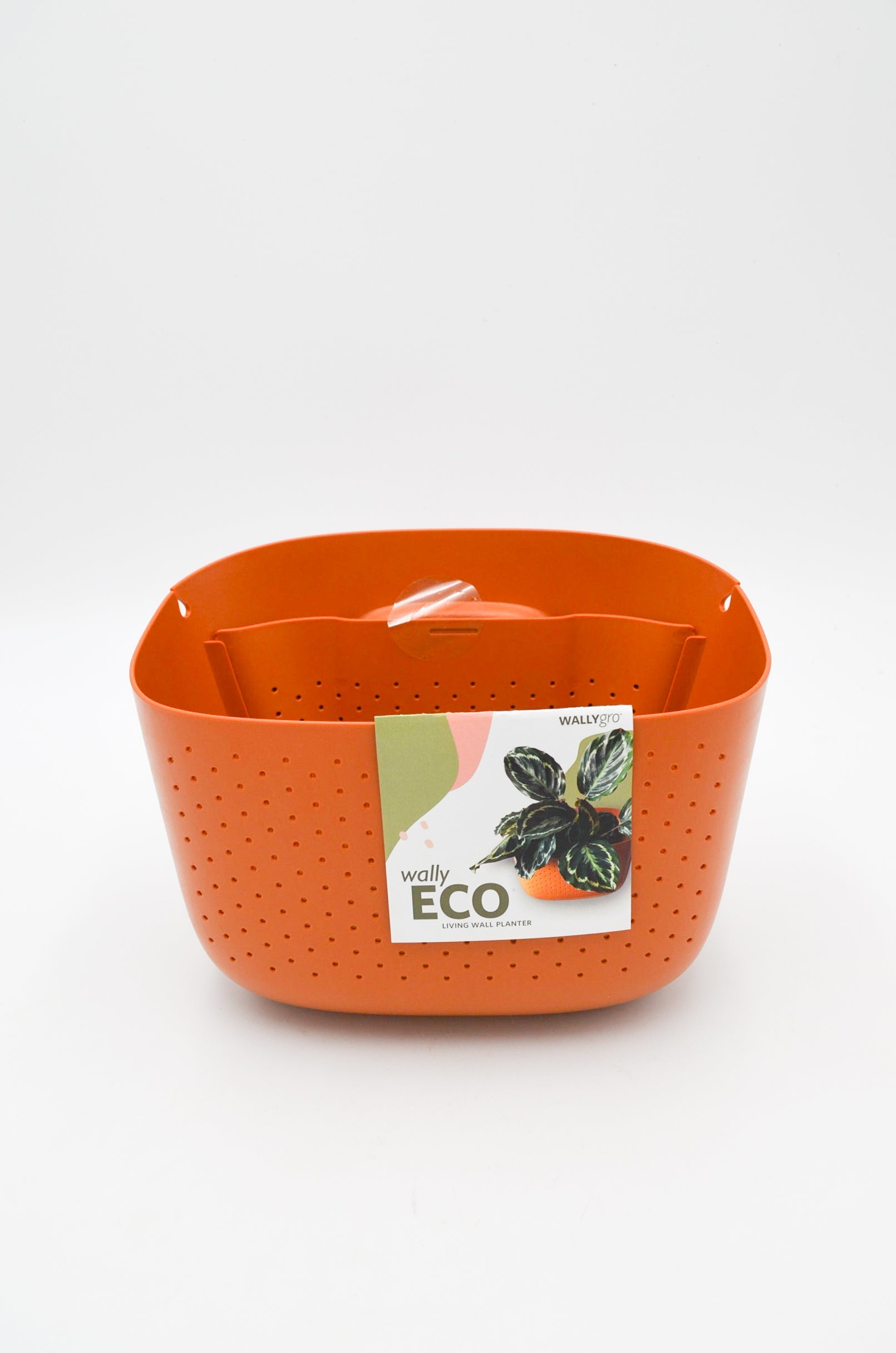Sale! WallyGro Eco Planters (9 Colors Available)