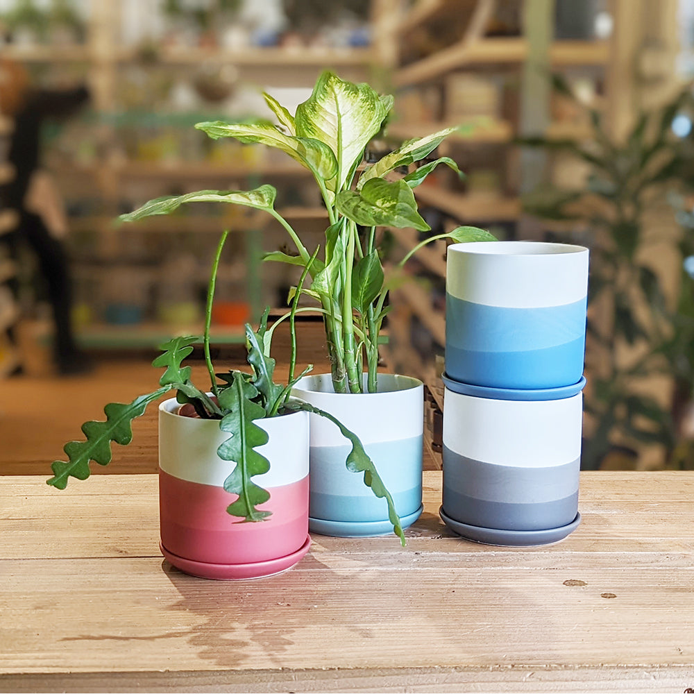Devo Pot & Saucer - Sold Individually by Homeportonline