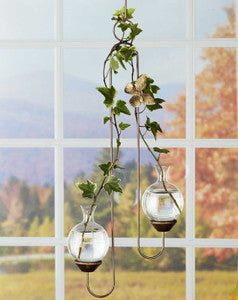Double Hanging Vase Display
