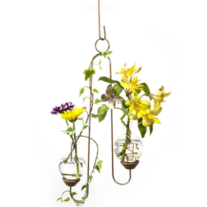 Double Hanging Vase Display
