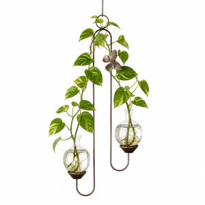 Double Hanging Vase Display