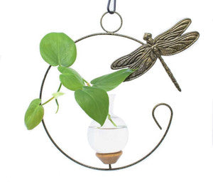 Dragonfly Crescent Hanging Vase