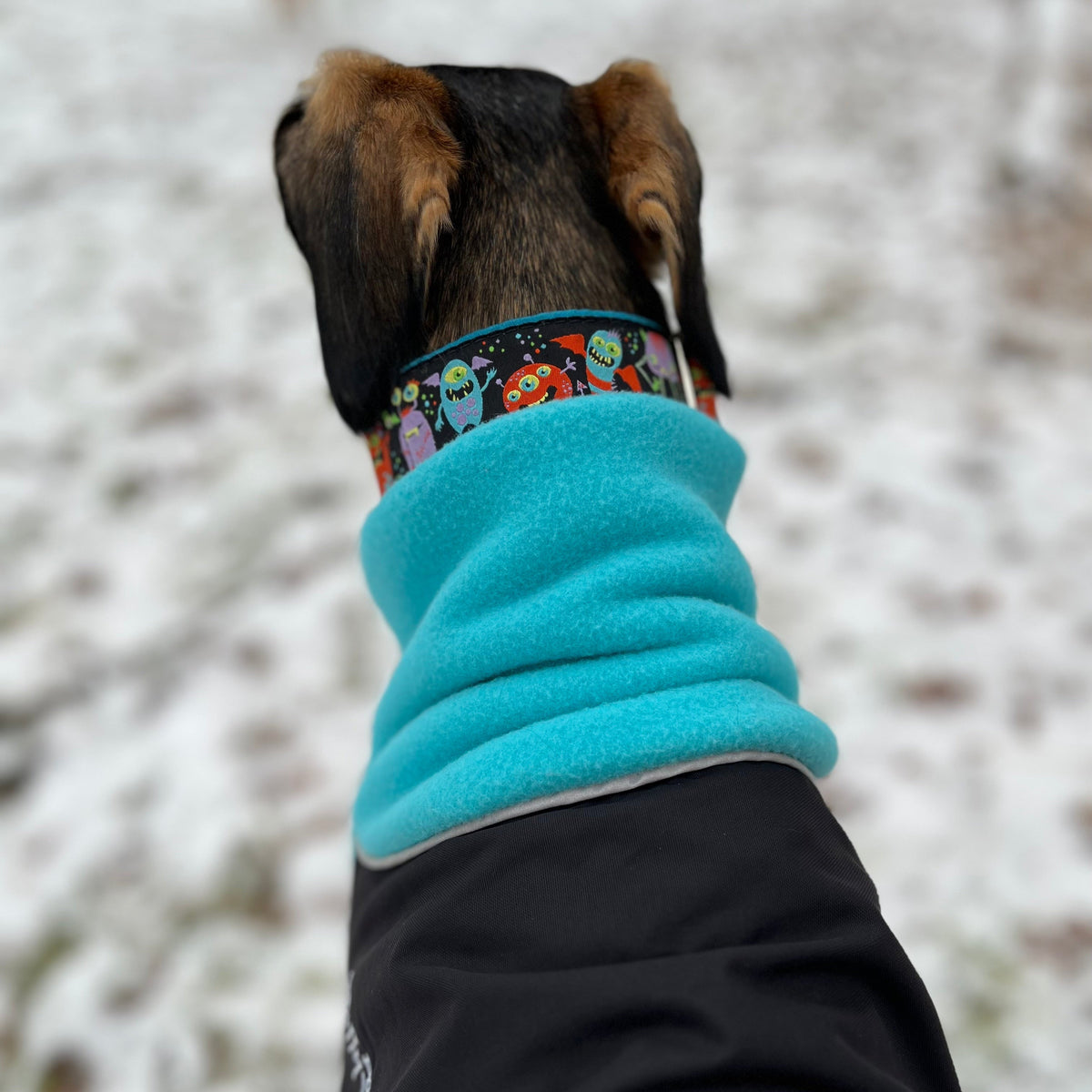 Chilly Dogs L&L Great White North (Black Shell)