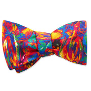 Edonton - bow ties