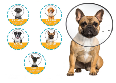 ZenPet Plastic E Collar XLarge