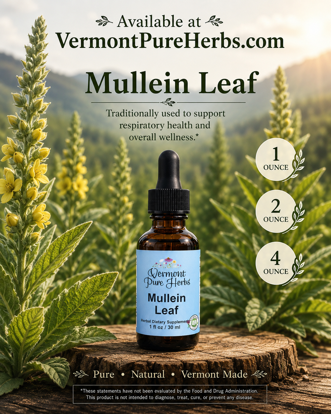 Mullein Leaf