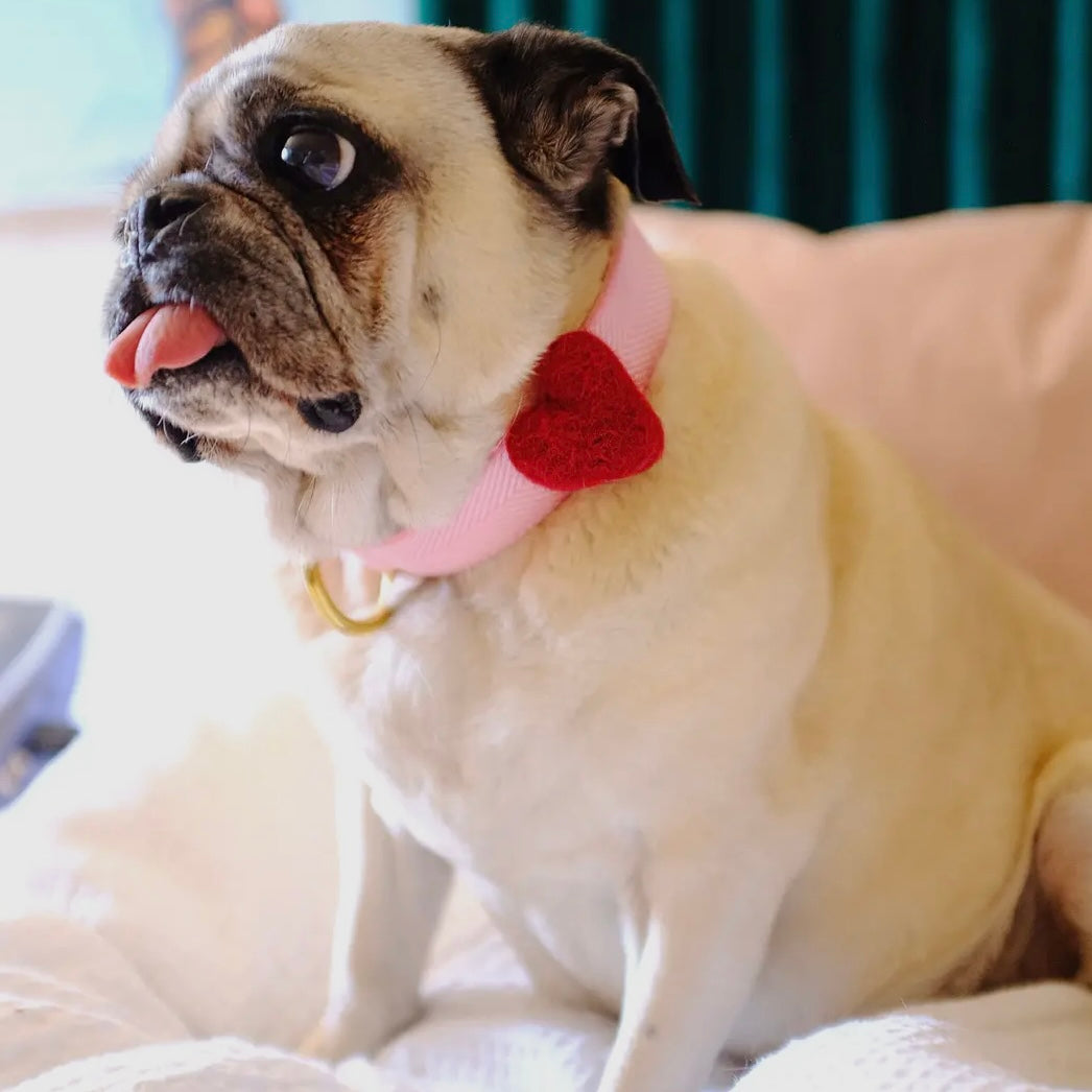 Mimi Green Valentine Heart Collar Accessory