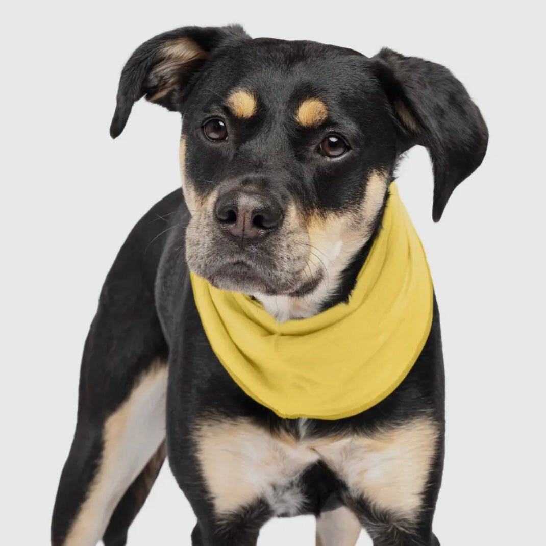 GoldPaw Snood - Sun Shield version