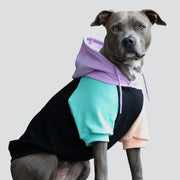Spark Paws Cyber Punk Dog Hoodie