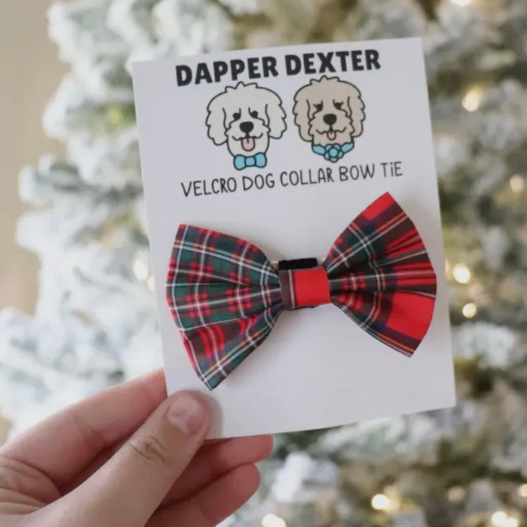 Dapper Dexter Holiday Dog Collar Bow Tie