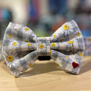 Dubdog Designs "Daisy Mae" Bow Tie Collar