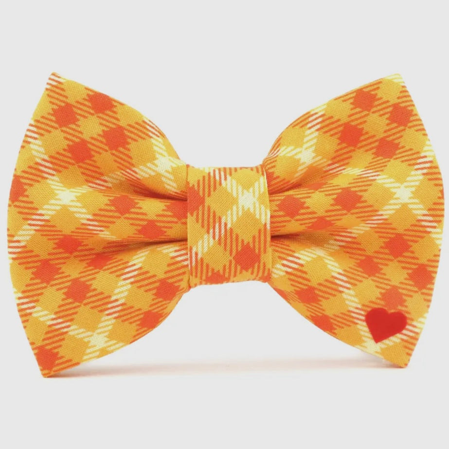 Dubdog Bow Tie - Pumpkin Plaid