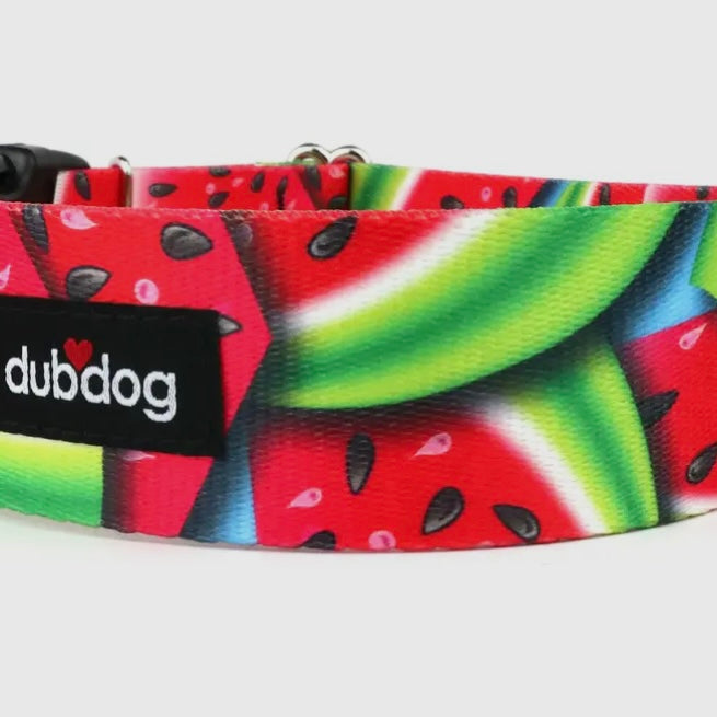 DubDog Sublimated Webbing Dog Collar
