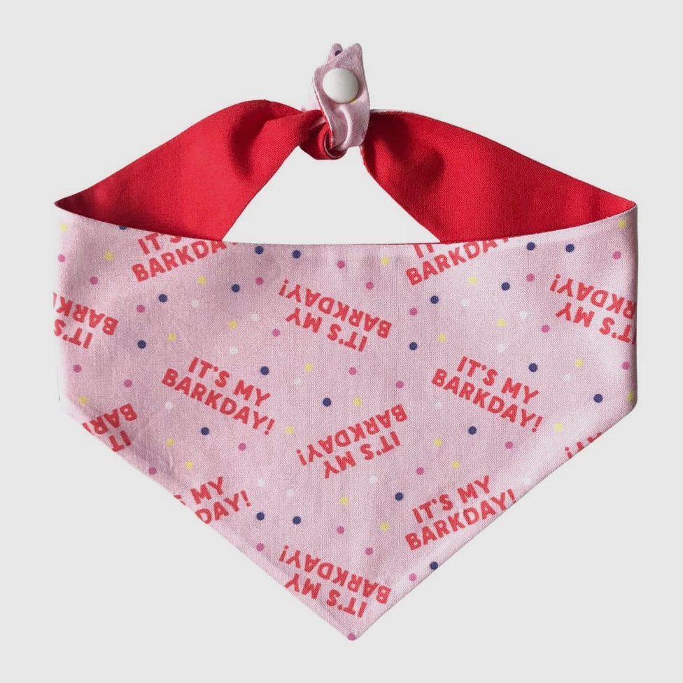 Winnie and the Hound Bark Day/ HBD Bandana