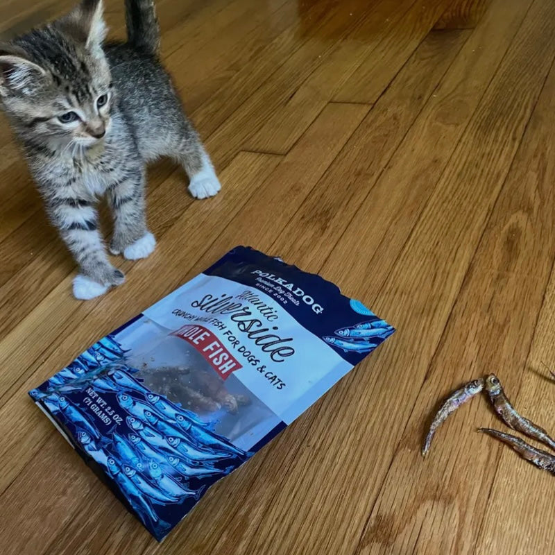 Polkadog Atlantic Silverside Whole Fish - 2.5 oz