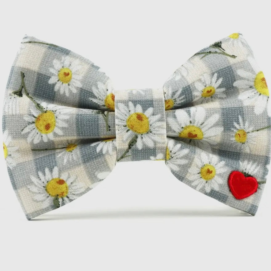 Dubdog Designs "Daisy Mae" Bow Tie Collar
