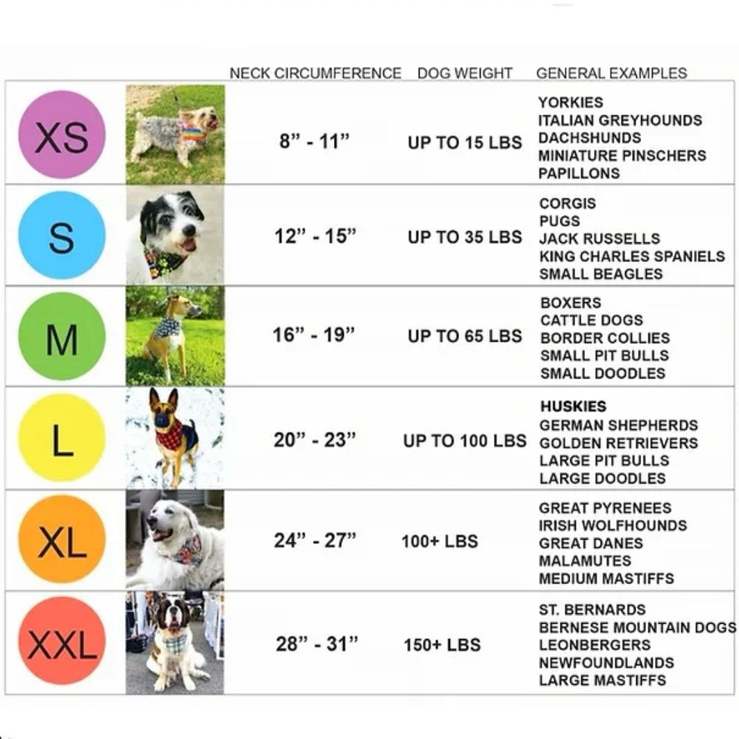 RUFFLECT Pitty Party Bandana