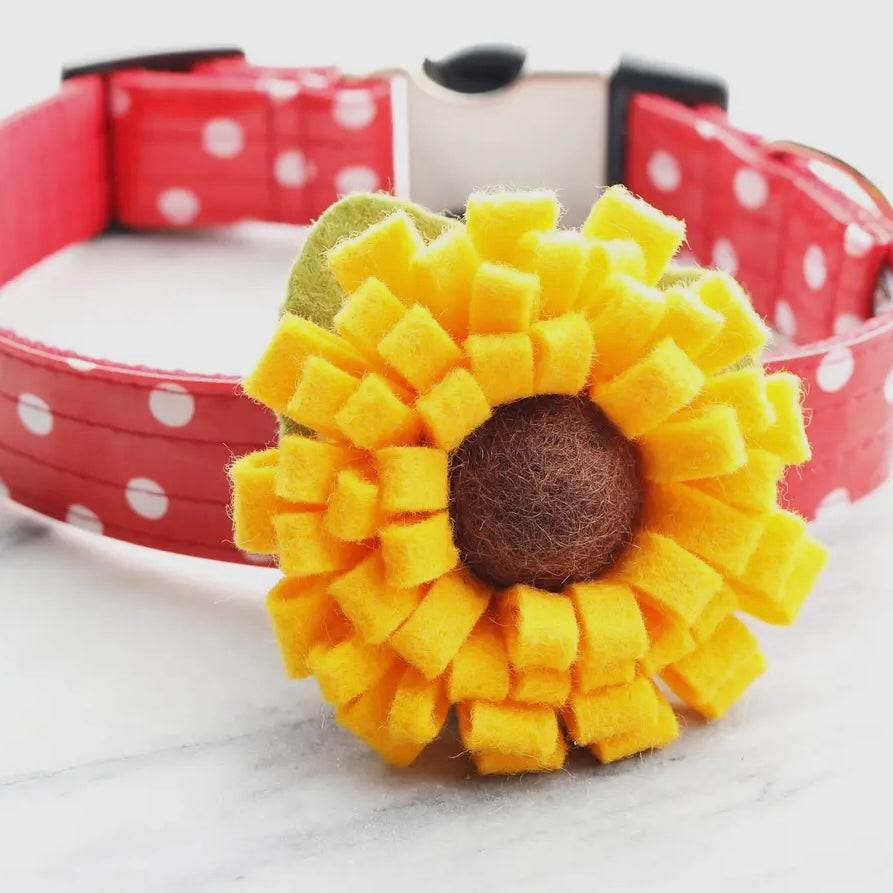 Mimi Green Sunflower Collar Flower