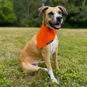 RUFFLECT Safety Orange Dog Bandana