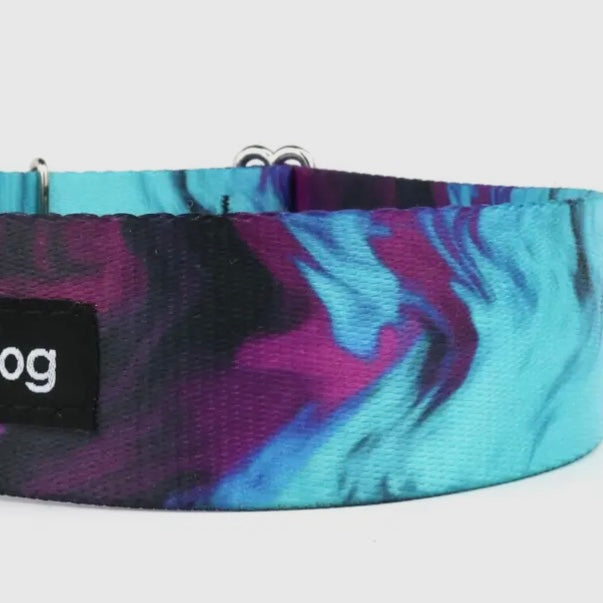 DubDog Sublimated Webbing Dog Collar