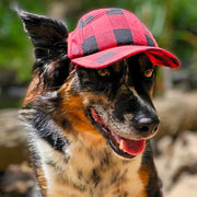PupLid Red Plaid Camper Hat