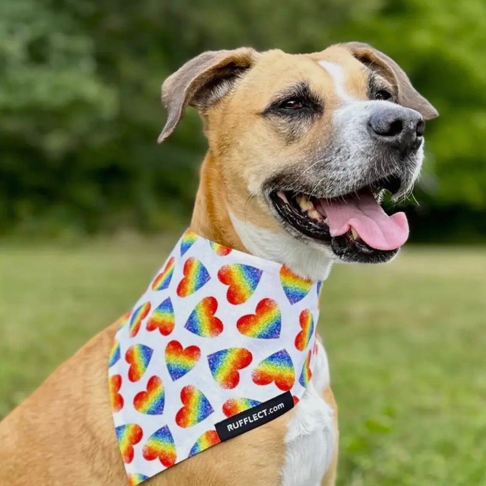 RUFFLECT Rainbow Hearts Dog Bandana