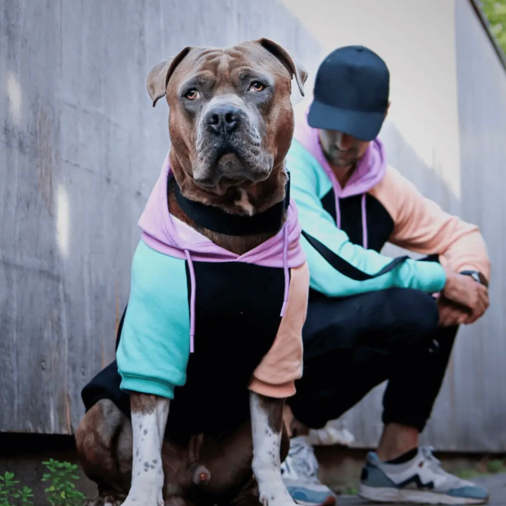Spark Paws Cyber Punk Dog Hoodie