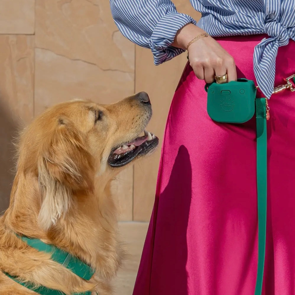 Sunny Tails Snap Dog Treat Pouch
