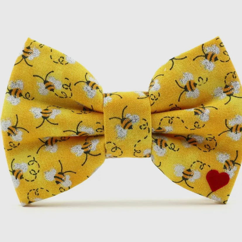 Dubdog Designs "Buzz" Bow Tie Collar