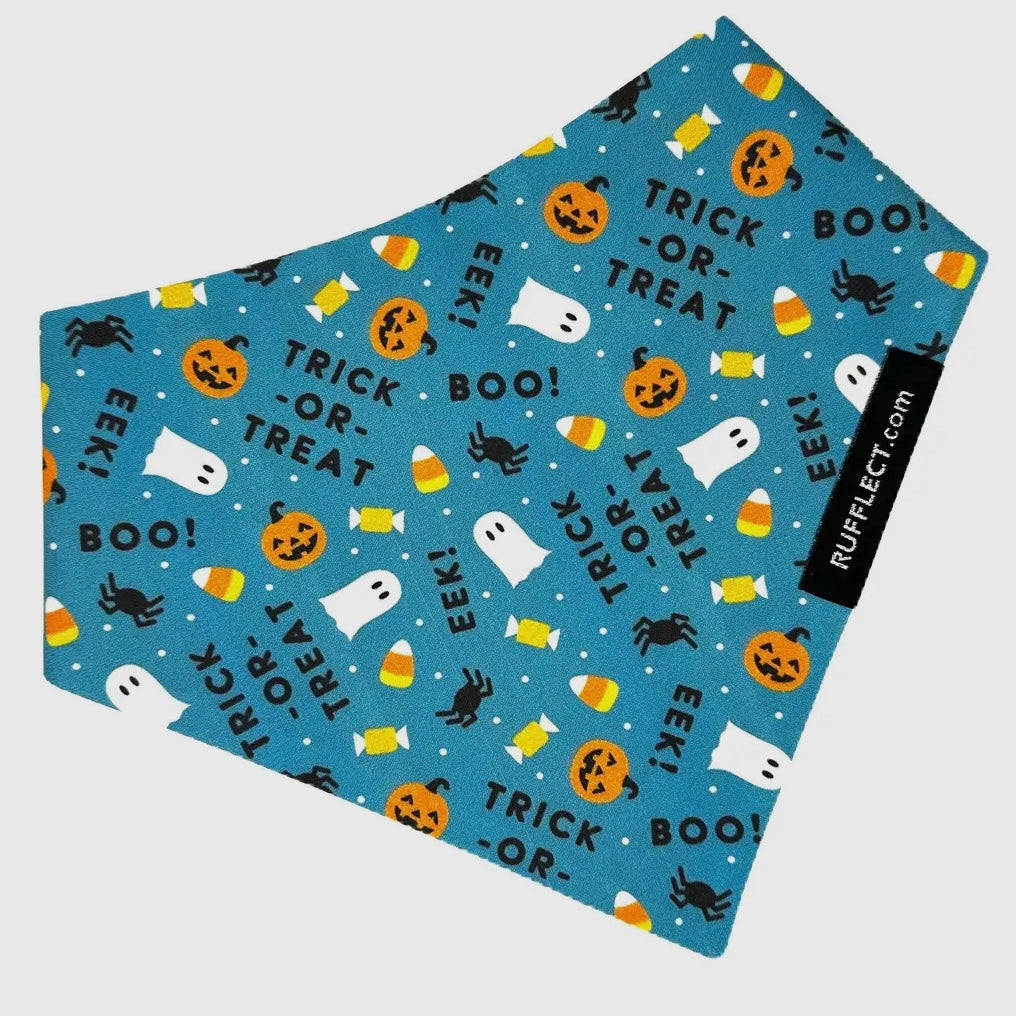 RUFFLECT "Eek!" Bandana