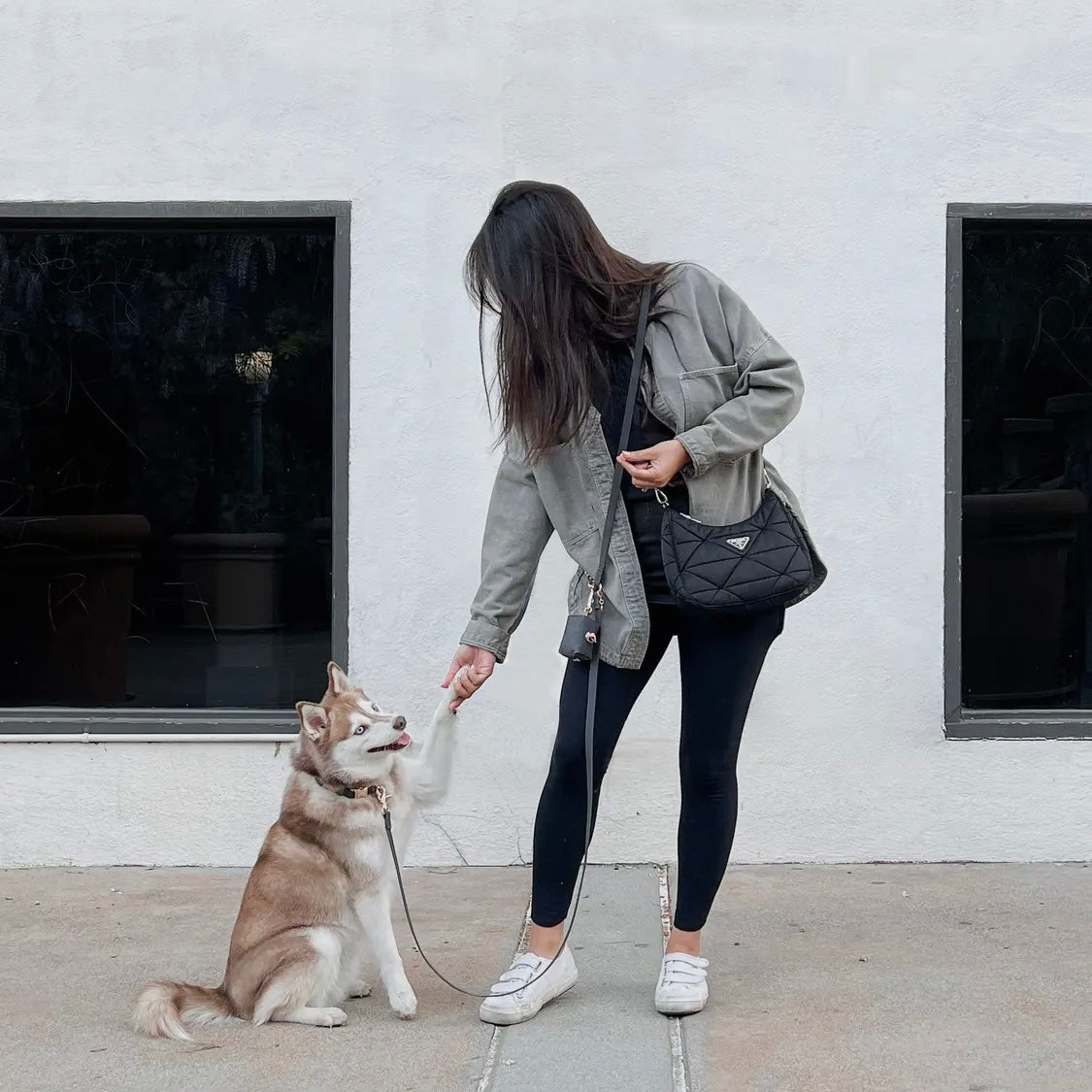 Sunny Tails 4-in-1 Convertible Hands Free Cloud Dog Leash