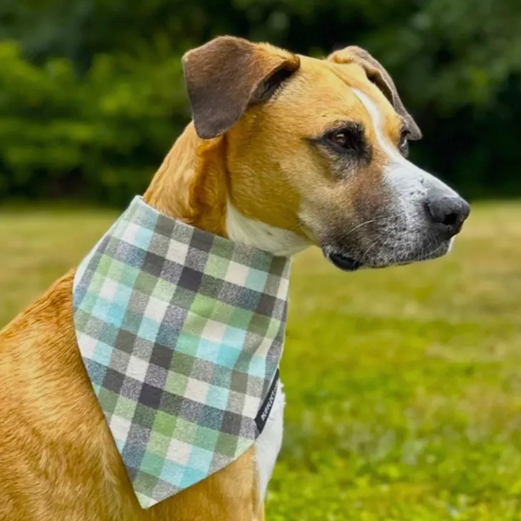 RUFFLECT Plaid Dog Bandana